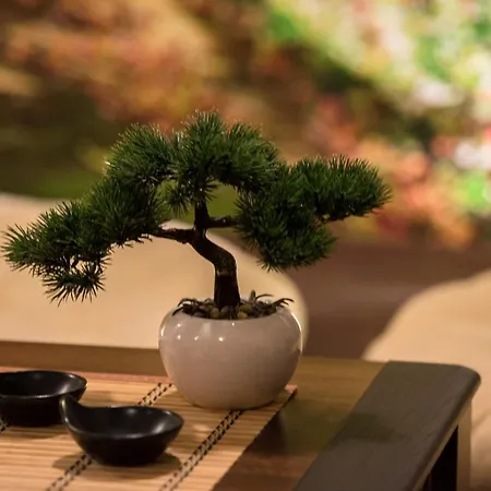 Apartment Z Jacuzzi *